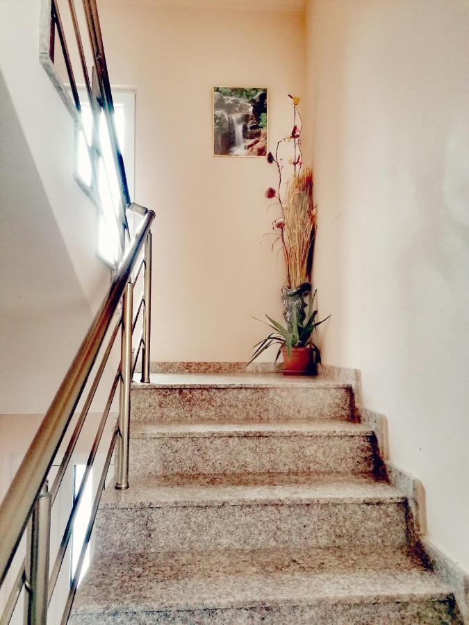 Apartment Daiv Sapareva Banya Exterior photo