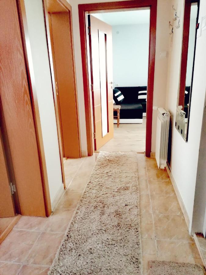 Apartment Daiv Sapareva Banya Exterior photo